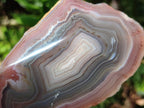 Polished One Side Red Shashe River Agate Nodules x 6 From Shashe River, Zimbabwe - Toprock Gemstones and Minerals 