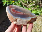 Polished One Side Red Shashe River Agate Nodules x 6 From Shashe River, Zimbabwe - Toprock Gemstones and Minerals 