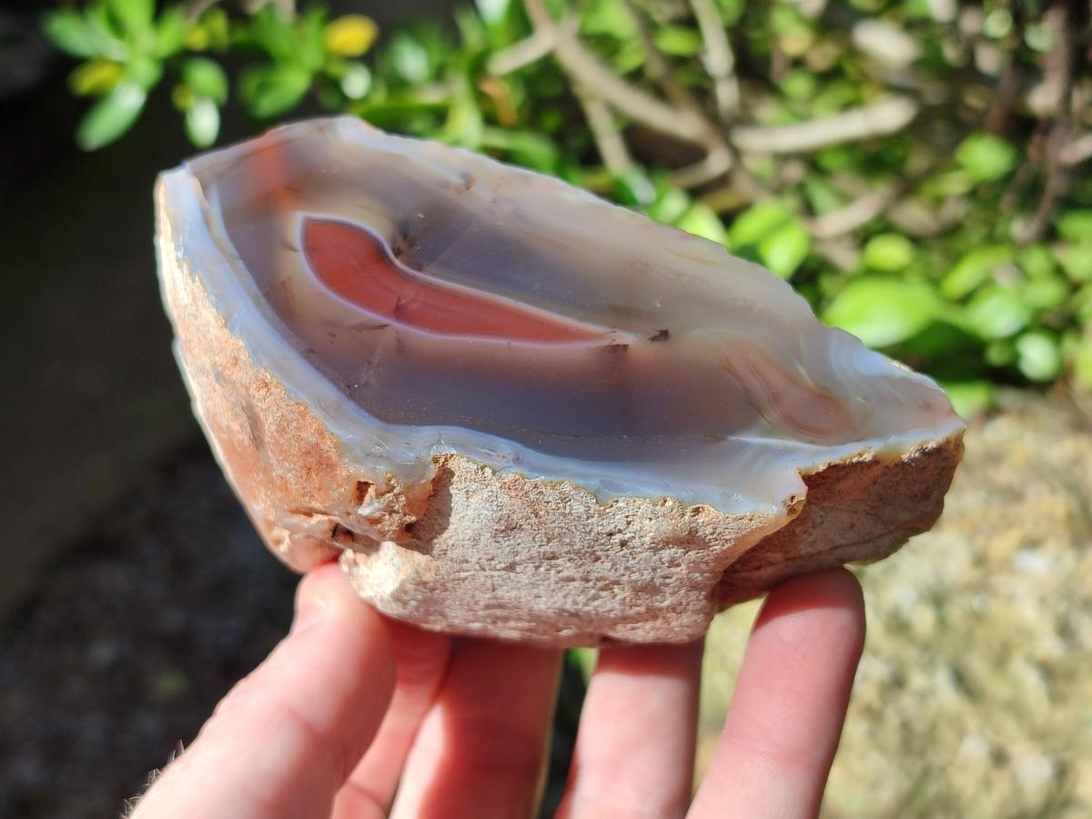 Polished One Side Red Shashe River Agate Nodules x 6 From Shashe River, Zimbabwe - Toprock Gemstones and Minerals 