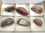 Polished One Side Red Shashe River Agate Nodules x 6 From Shashe River, Zimbabwe - Toprock Gemstones and Minerals 