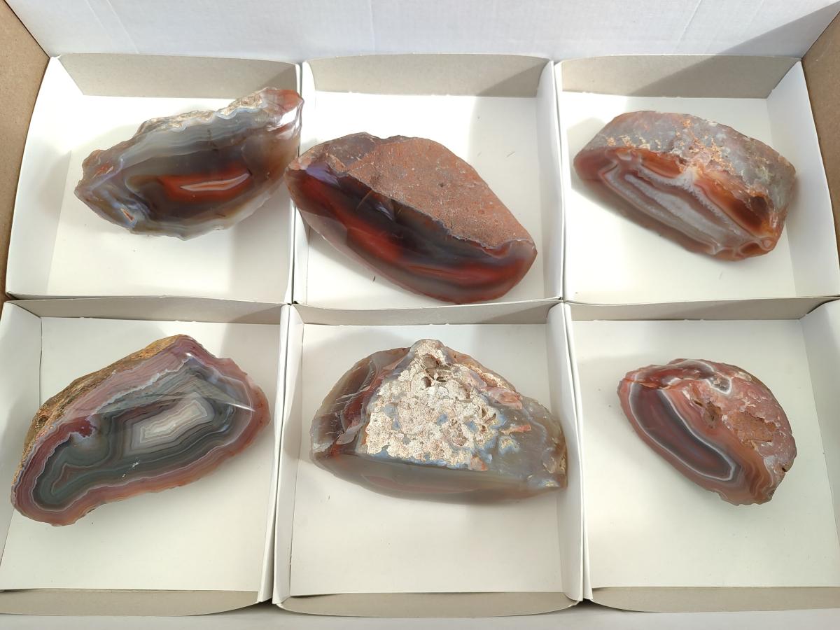 Polished One Side Red Shashe River Agate Nodules x 6 From Shashe River, Zimbabwe - Toprock Gemstones and Minerals 