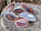 Polished One Side Red Shashe River Agate Nodules x 6 From Shashe River, Zimbabwe - Toprock Gemstones and Minerals 