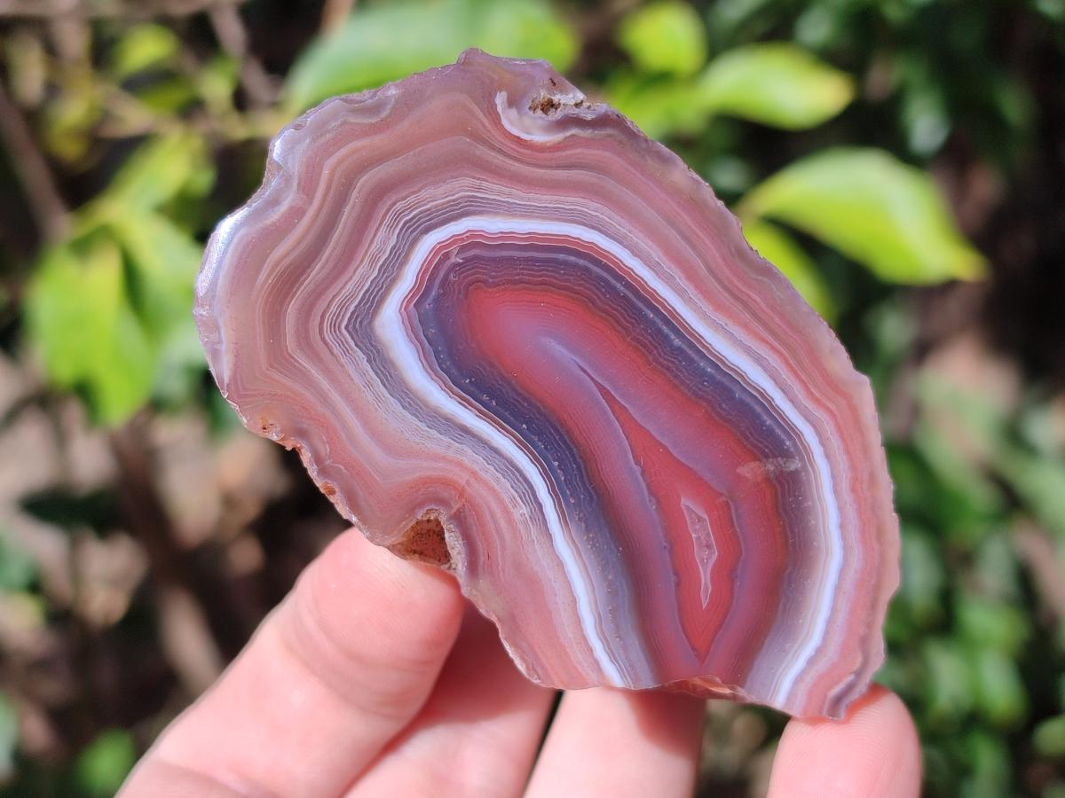 Polished One Side Red Shashe River Agate Nodules x 6 From Shashe River, Zimbabwe - Toprock Gemstones and Minerals 