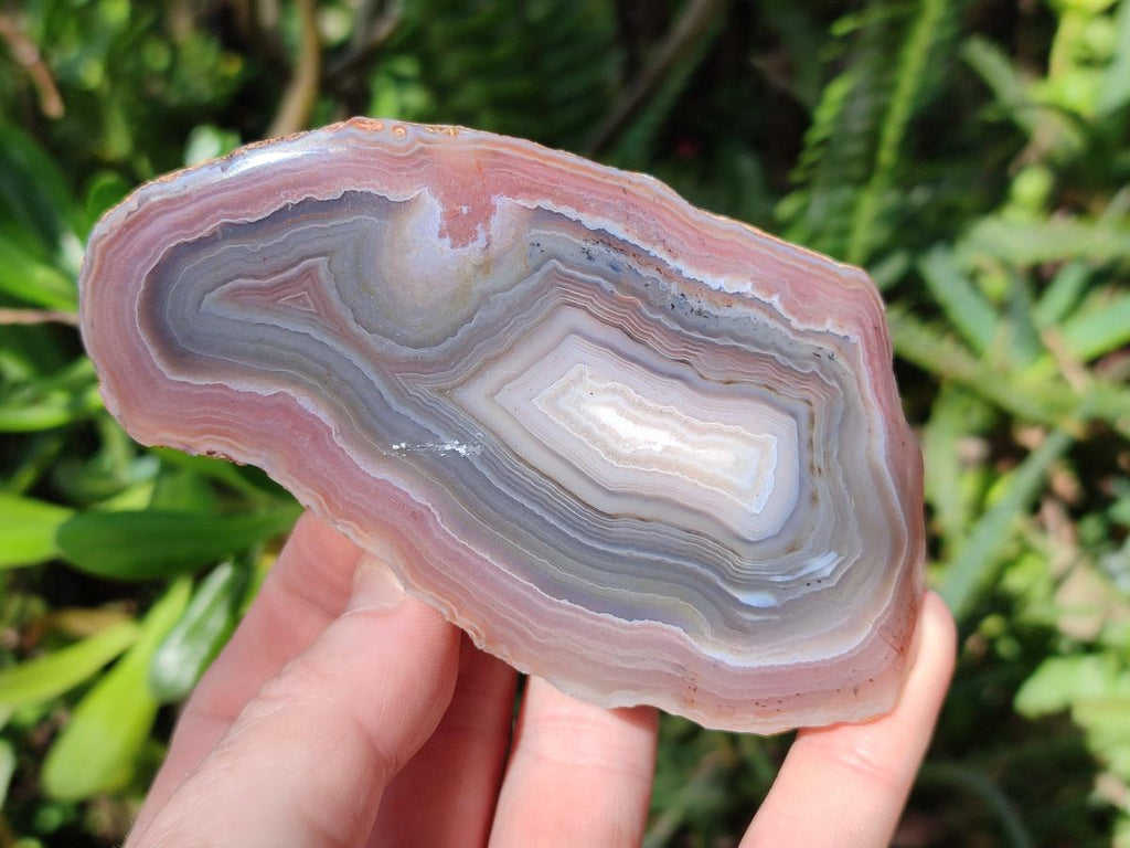 Polished One Side Red Shashe River Agate Nodules x 6 From Shashe River, Zimbabwe - Toprock Gemstones and Minerals 
