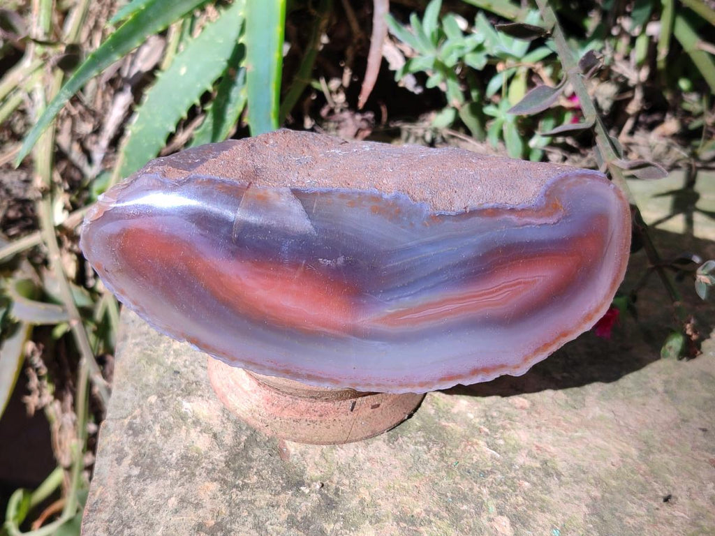Polished One Side Red Shashe River Agate Nodules x 6 From Shashe River, Zimbabwe - Toprock Gemstones and Minerals 