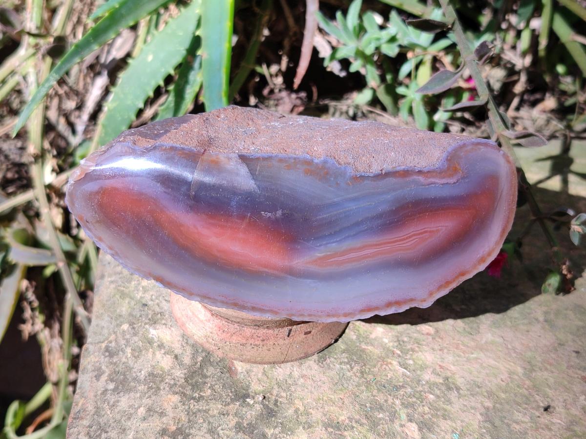 Polished One Side Red Shashe River Agate Nodules x 6 From Shashe River, Zimbabwe - Toprock Gemstones and Minerals 