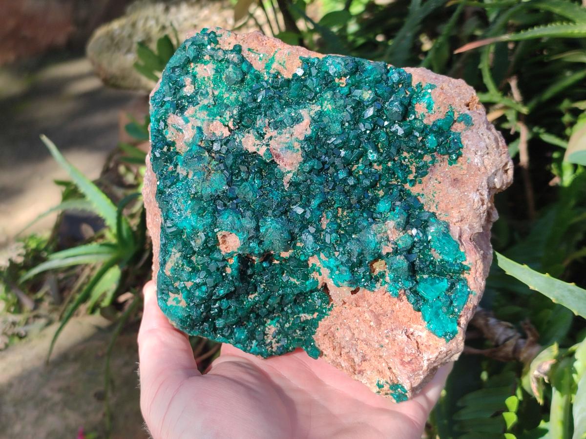 Natural large Dioptase on Dolomite Specimen x 1 From Likasi, Congo - Toprock Gemstones and Minerals 