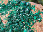 Natural large Dioptase on Dolomite Specimen x 1 From Likasi, Congo - Toprock Gemstones and Minerals 