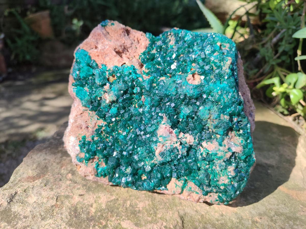 Natural large Dioptase on Dolomite Specimen x 1 From Likasi, Congo - Toprock Gemstones and Minerals 