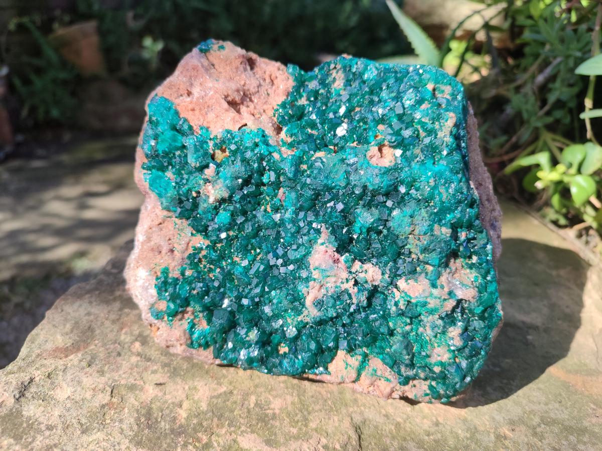Natural large Dioptase on Dolomite Specimen x 1 From Likasi, Congo - Toprock Gemstones and Minerals 