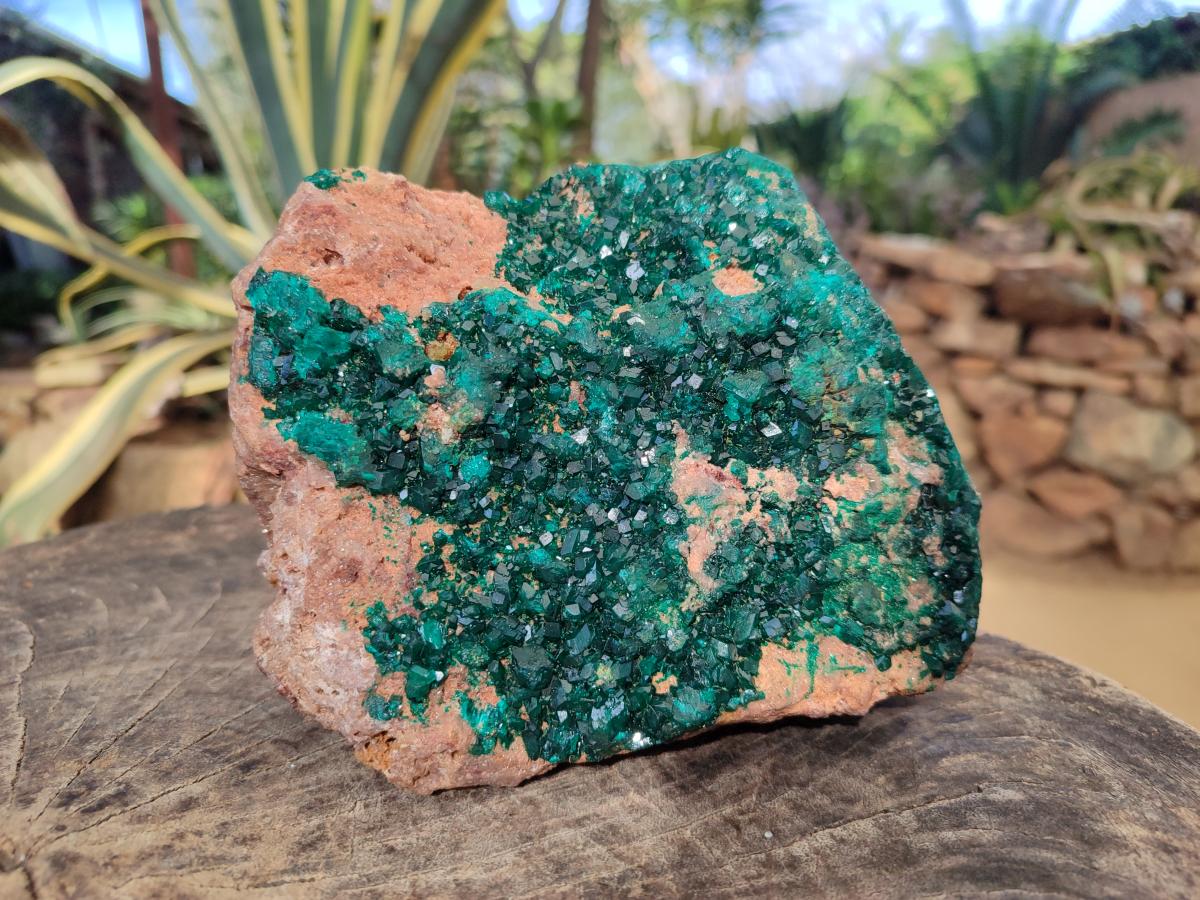 Natural large Dioptase on Dolomite Specimen x 1 From Likasi, Congo - Toprock Gemstones and Minerals 