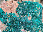 Natural large Dioptase on Dolomite Specimen x 1 From Likasi, Congo - Toprock Gemstones and Minerals 