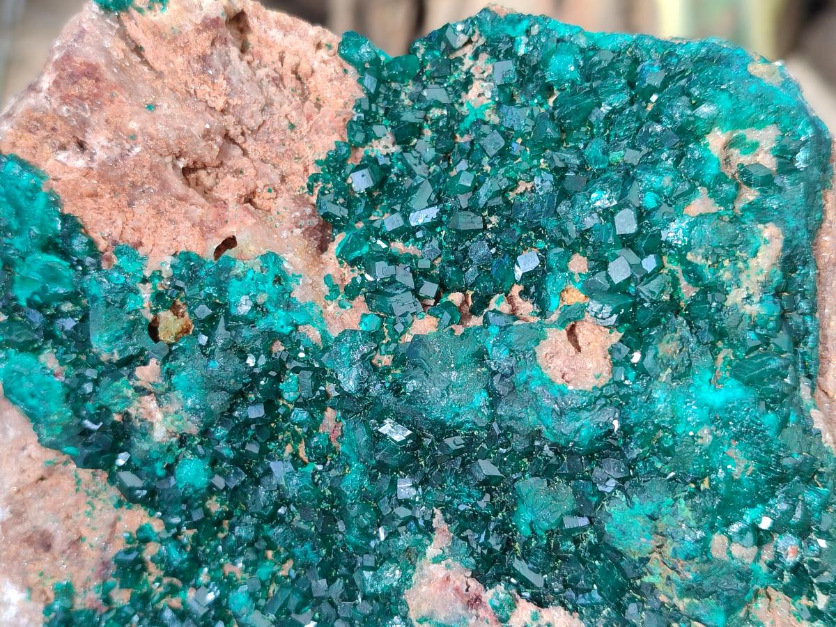 Natural large Dioptase on Dolomite Specimen x 1 From Likasi, Congo - Toprock Gemstones and Minerals 