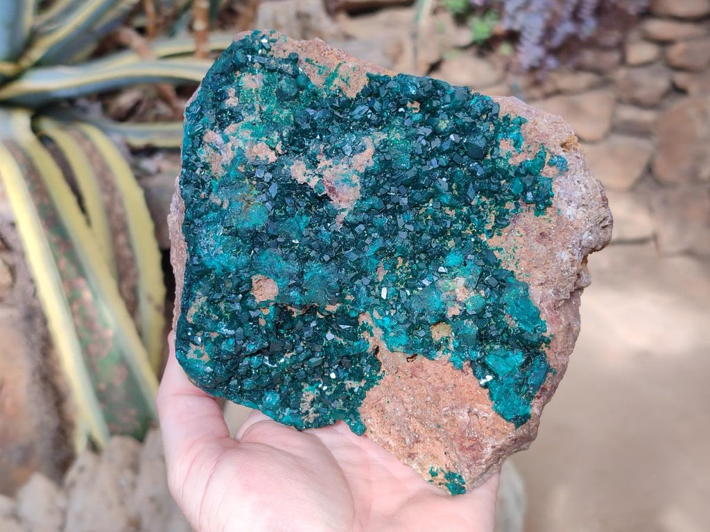 Natural large Dioptase on Dolomite Specimen x 1 From Likasi, Congo - Toprock Gemstones and Minerals 