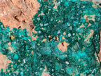 Natural large Dioptase on Dolomite Specimen x 1 From Likasi, Congo - Toprock Gemstones and Minerals 