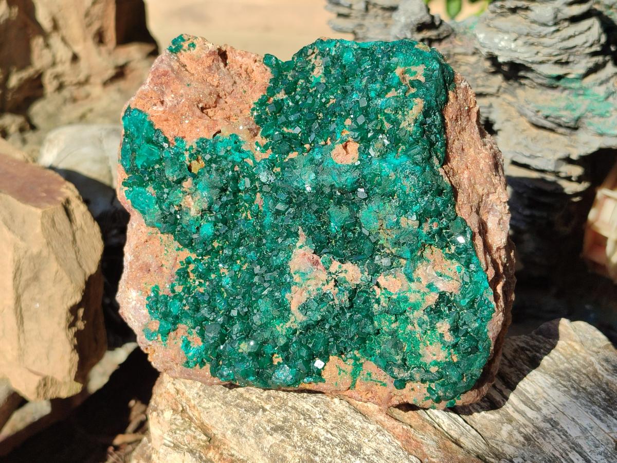 Natural large Dioptase on Dolomite Specimen x 1 From Likasi, Congo - Toprock Gemstones and Minerals 