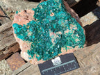 Natural large Dioptase on Dolomite Specimen x 1 From Likasi, Congo - Toprock Gemstones and Minerals 