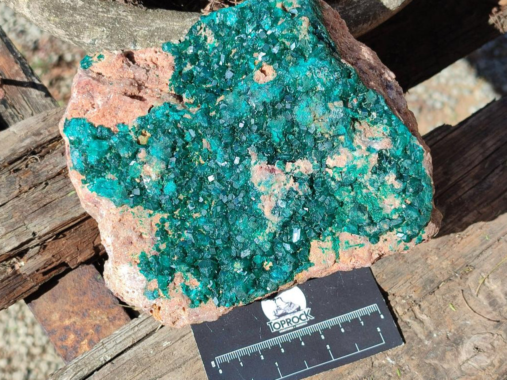 Natural large Dioptase on Dolomite Specimen x 1 From Likasi, Congo - Toprock Gemstones and Minerals 