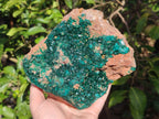 Natural large Dioptase on Dolomite Specimen x 1 From Likasi, Congo - Toprock Gemstones and Minerals 