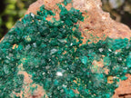 Natural large Dioptase on Dolomite Specimen x 1 From Likasi, Congo - Toprock Gemstones and Minerals 