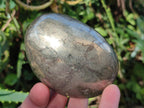 Polished Large Basalt Pharaoh Stone Palm Stones x 3 From Iron Duke Mine, Zimbabwe - Toprock Gemstones and Minerals 