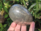 Polished Large Basalt Pharaoh Stone Palm Stones x 3 From Iron Duke Mine, Zimbabwe - Toprock Gemstones and Minerals 