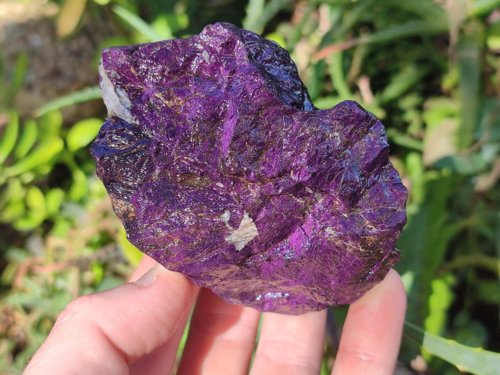 Natural Metallic Cobbed Purpurite Specimens x 6 From Erongo, Namibia - Toprock Gemstones and Minerals 