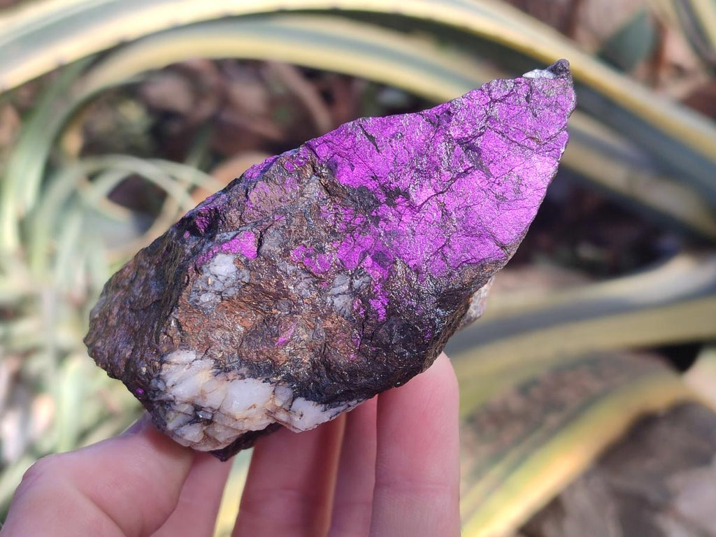 Natural Metallic Cobbed Purpurite Specimens x 6 From Erongo, Namibia - Toprock Gemstones and Minerals 