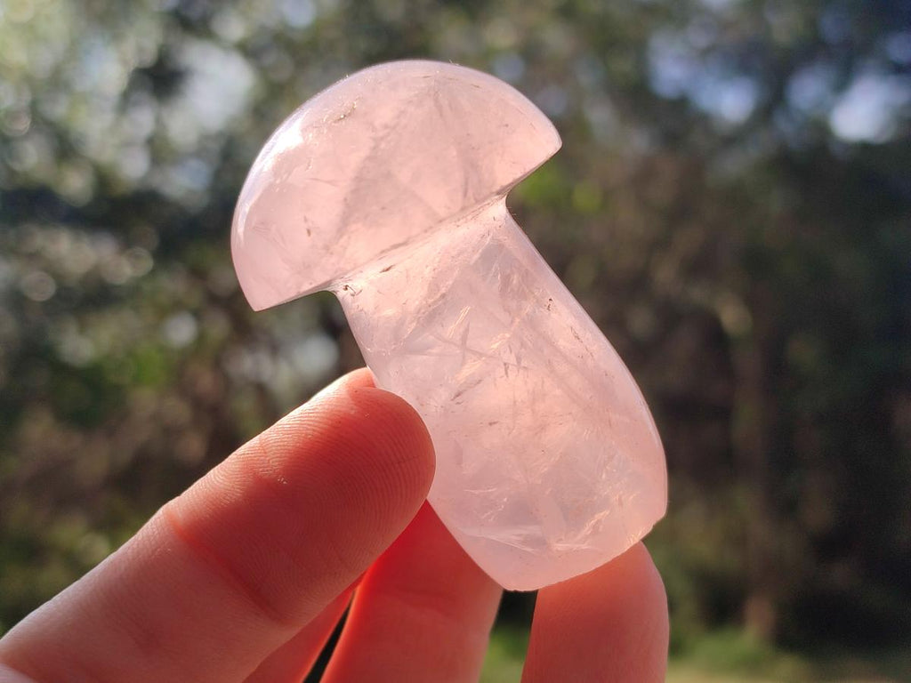 Polished Gemmy Rose Quartz Mushrooms x 12 From Madagascar - Toprock Gemstones and Minerals 