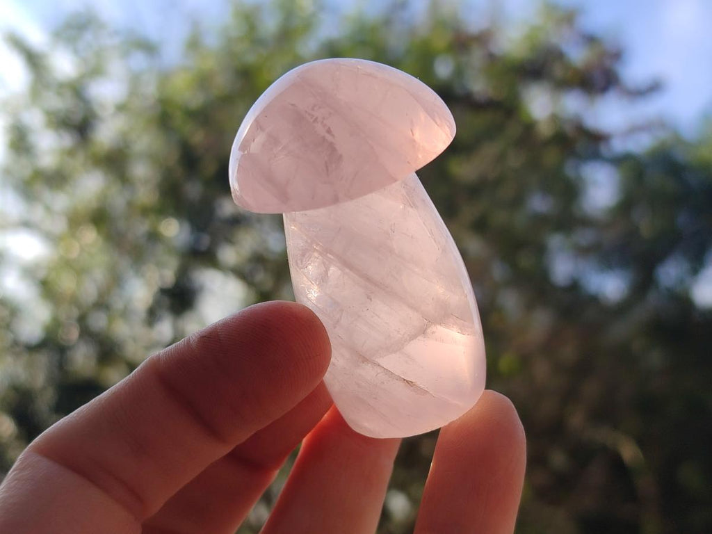 Polished Gemmy Rose Quartz Mushrooms x 12 From Madagascar - Toprock Gemstones and Minerals 