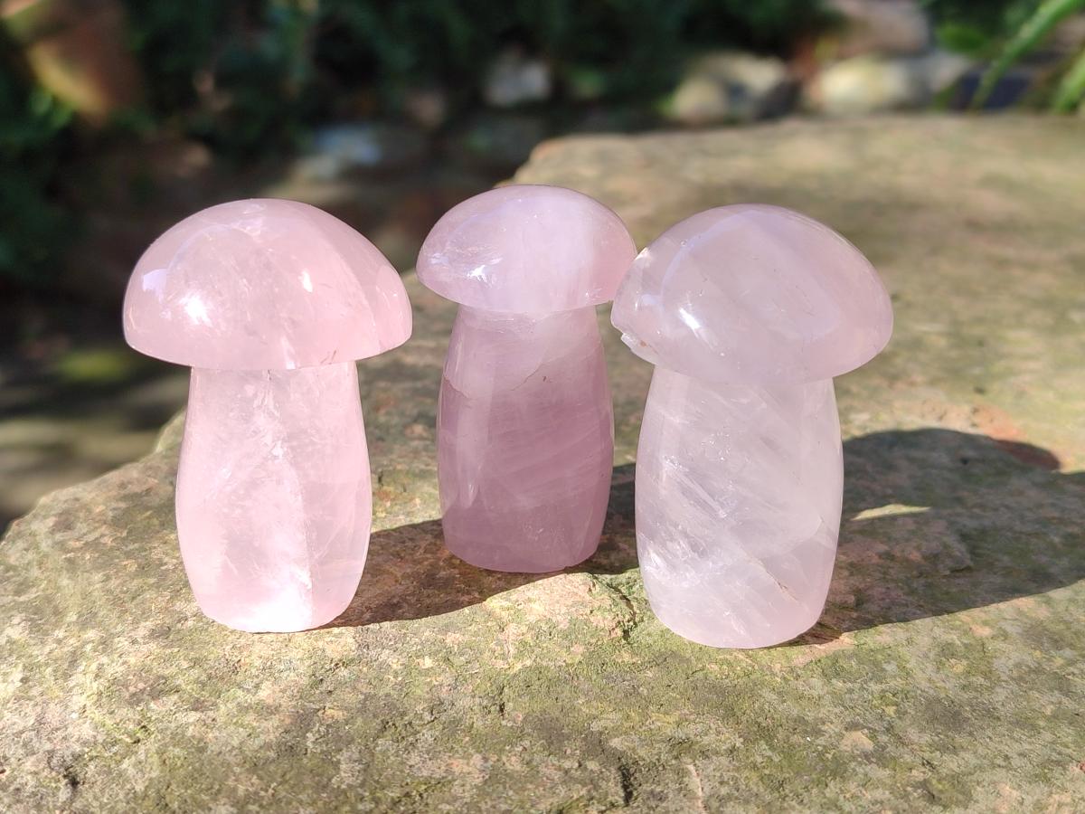 Polished Gemmy Rose Quartz Mushrooms x 12 From Madagascar - Toprock Gemstones and Minerals 