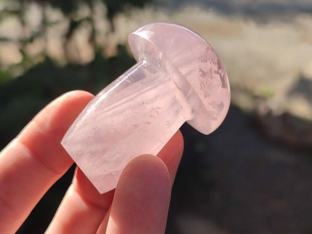 Polished Gemmy Rose Quartz Mushrooms x 12 From Madagascar - Toprock Gemstones and Minerals 