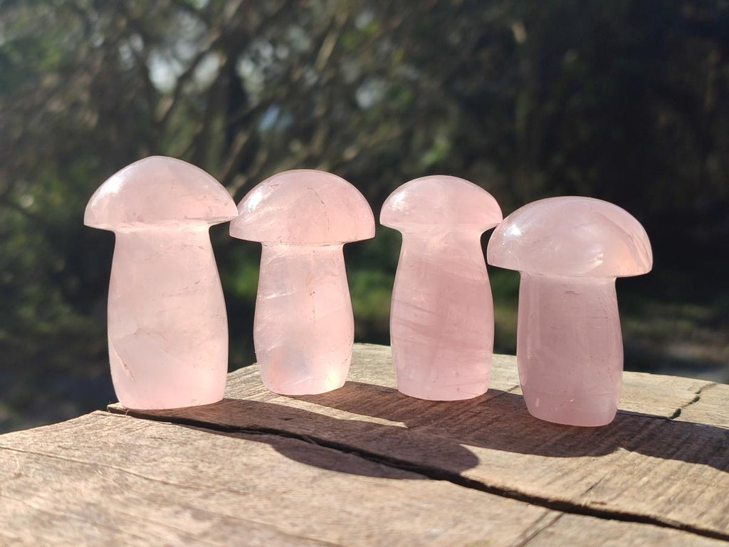 Polished Gemmy Rose Quartz Mushrooms x 12 From Madagascar - Toprock Gemstones and Minerals 