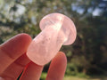 Polished Gemmy Rose Quartz Mushrooms x 12 From Madagascar - Toprock Gemstones and Minerals 