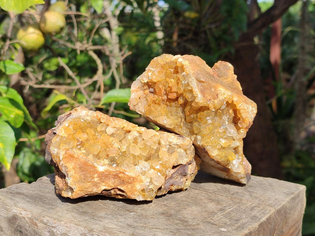Natural Golden Limonite Quartz Clusters x 5 From Solwezi, Zambia - Toprock Gemstones and Minerals 