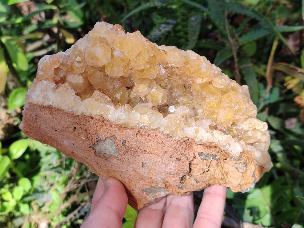 Natural Golden Limonite Quartz Clusters x 5 From Solwezi, Zambia - Toprock Gemstones and Minerals 