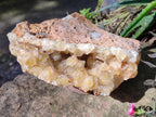 Natural Golden Limonite Quartz Clusters x 5 From Solwezi, Zambia - Toprock Gemstones and Minerals 