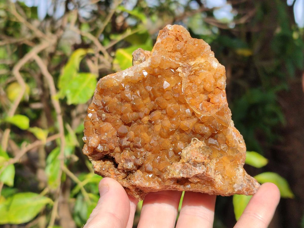 Natural Golden Limonite Quartz Clusters x 5 From Solwezi, Zambia - Toprock Gemstones and Minerals 