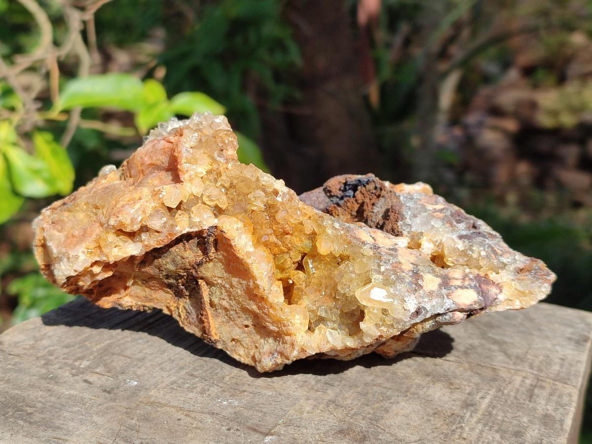 Natural Golden Limonite Quartz Clusters x 5 From Solwezi, Zambia - Toprock Gemstones and Minerals 