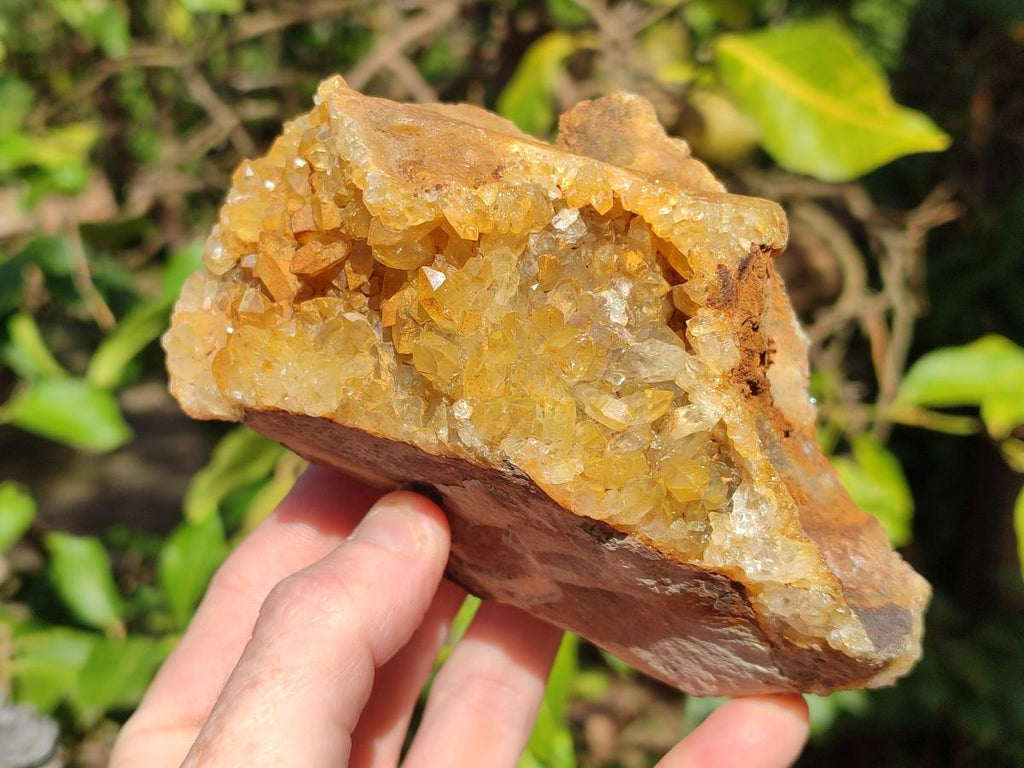 Natural Golden Limonite Quartz Clusters x 5 From Solwezi, Zambia - Toprock Gemstones and Minerals 