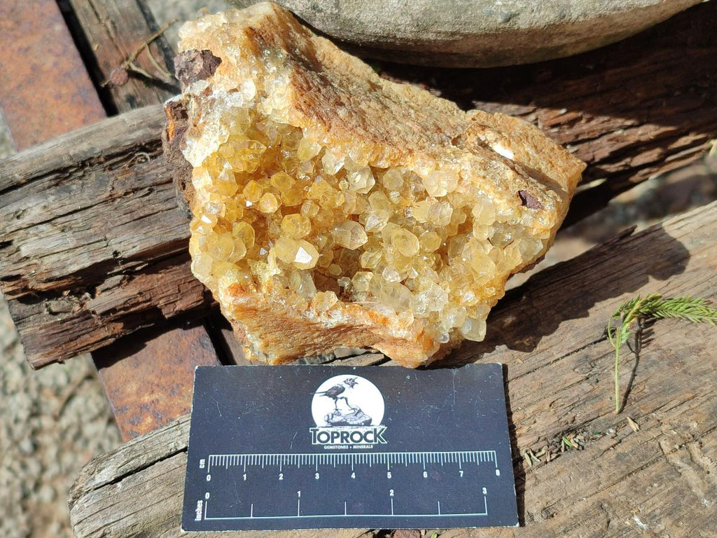 Natural Golden Limonite Quartz Clusters x 5 From Solwezi, Zambia - Toprock Gemstones and Minerals 