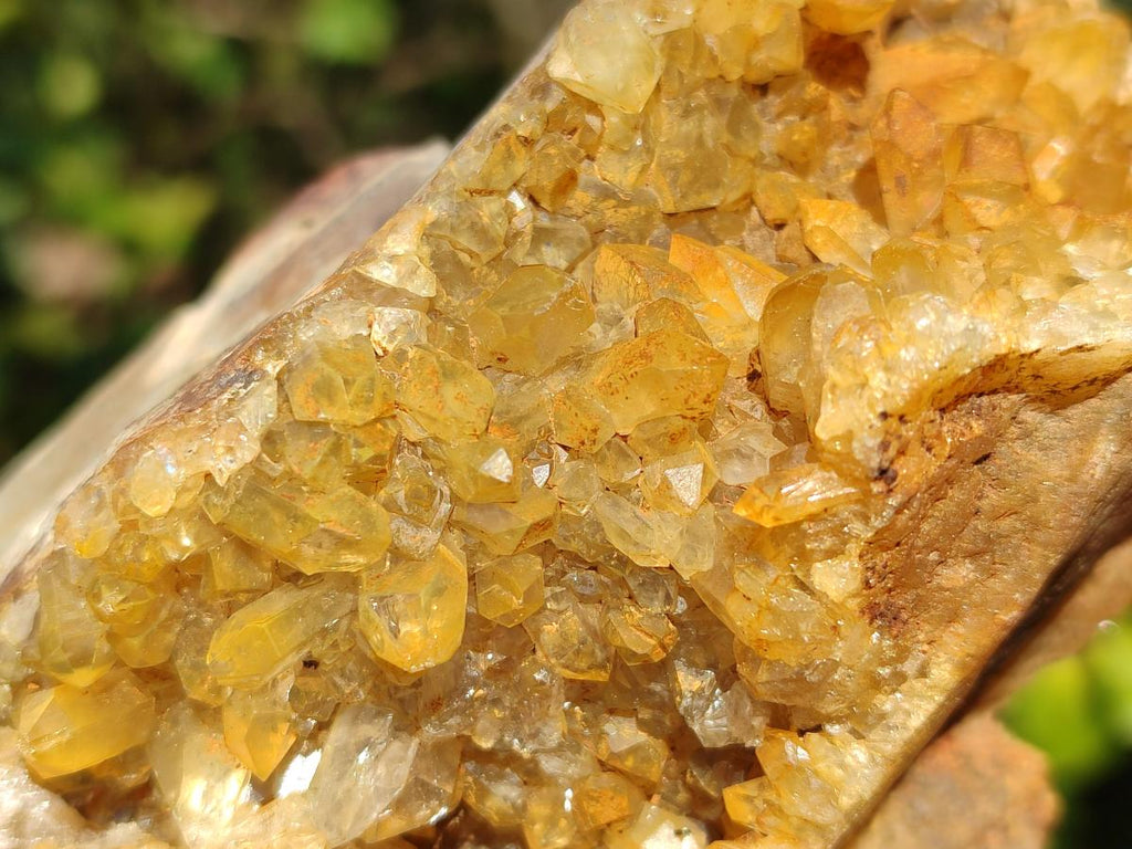 Natural Golden Limonite Quartz Clusters x 5 From Solwezi, Zambia - Toprock Gemstones and Minerals 