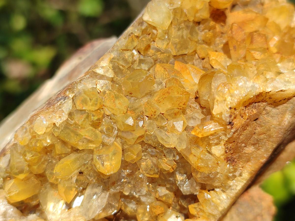 Natural Golden Limonite Quartz Clusters x 5 From Solwezi, Zambia - Toprock Gemstones and Minerals 