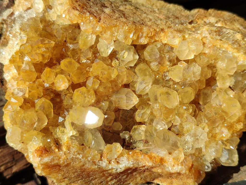 Natural Golden Limonite Quartz Clusters x 5 From Solwezi, Zambia - Toprock Gemstones and Minerals 