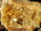 Natural Golden Limonite Quartz Clusters x 5 From Solwezi, Zambia - Toprock Gemstones and Minerals 