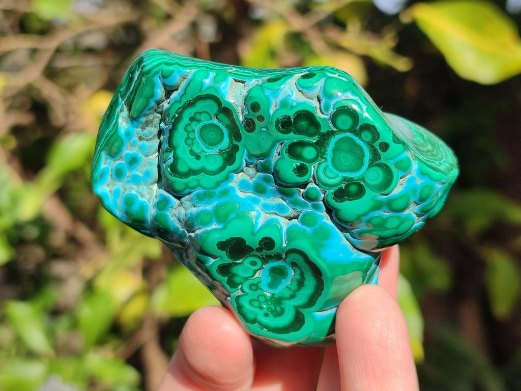 Polished Malacolla Free Forms x 6 From Kulukuluku, Congo - Toprock Gemstones and Minerals 