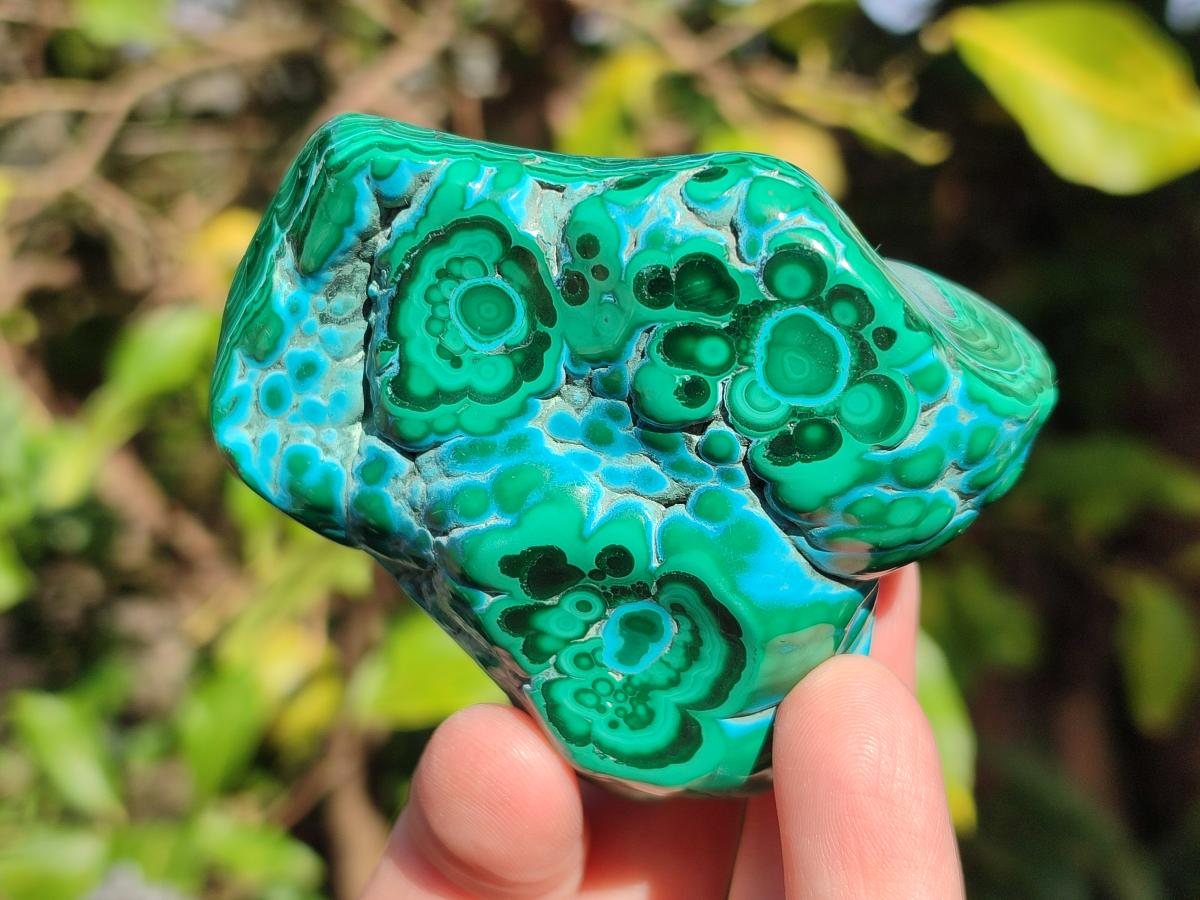 Polished Malacolla Free Forms x 6 From Kulukuluku, Congo - Toprock Gemstones and Minerals 