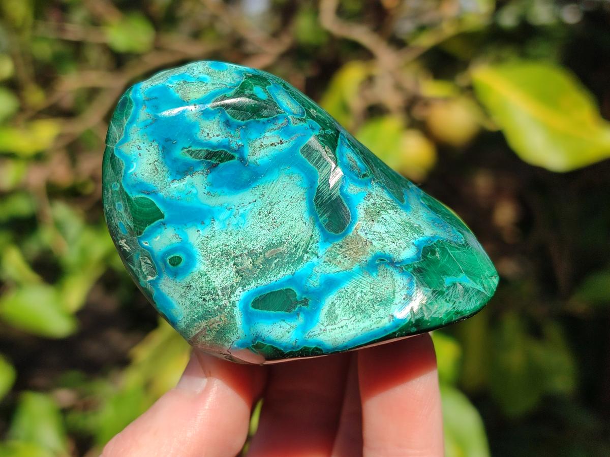 Polished Malacolla Free Forms x 6 From Kulukuluku, Congo - Toprock Gemstones and Minerals 