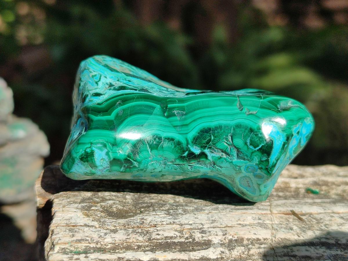 Polished Malacolla Free Forms x 6 From Kulukuluku, Congo - Toprock Gemstones and Minerals 