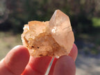 Natural Multi Mineral Specimens x 3,12 Kg Lot From Southern Africa - Toprock Gemstones and Minerals 